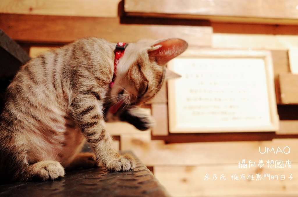 16-07-20-01-37-24-753_deco.jpg 16-07-20-01-37-24-753_deco.jpg