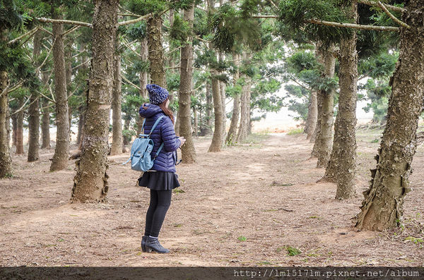 1九天黑森林 (6).jpg