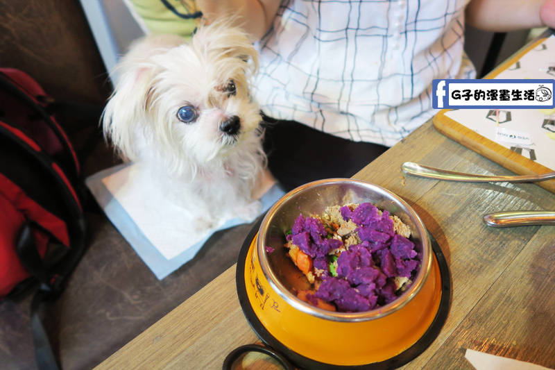 VEG OUT 寵物耍廢空間 早午餐,蘆洲寵物餐廳