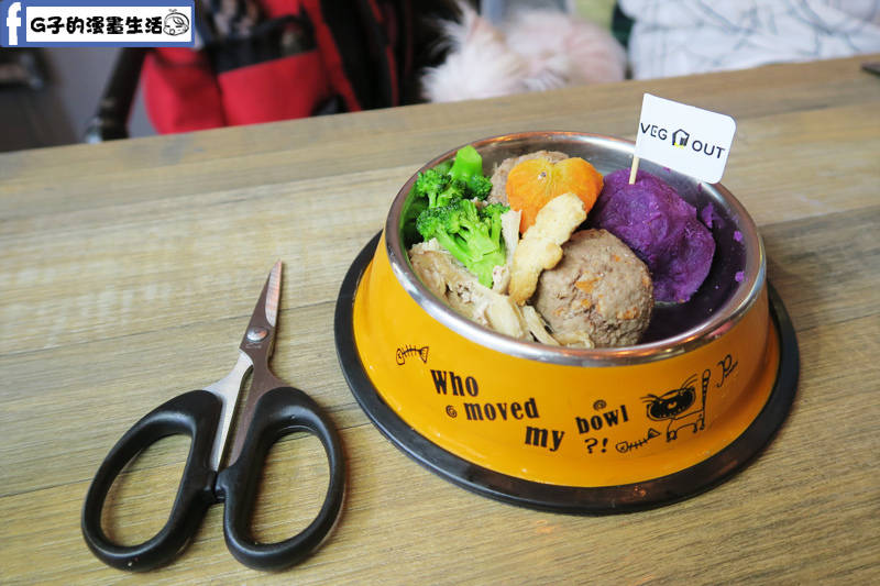 VEG OUT 寵物耍廢空間 早午餐,蘆洲寵物餐廳