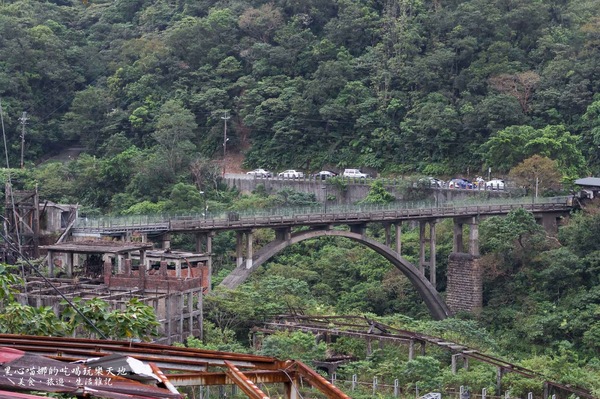 猴硐貓村：新北景點︱侯硐/猴硐貓村　美炸了的貓咪！！黑貓其實不難拍❤