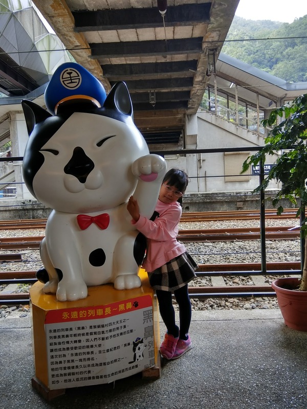 猴硐貓村：新北景點︱侯硐/猴硐貓村　美炸了的貓咪！！黑貓其實不難拍❤