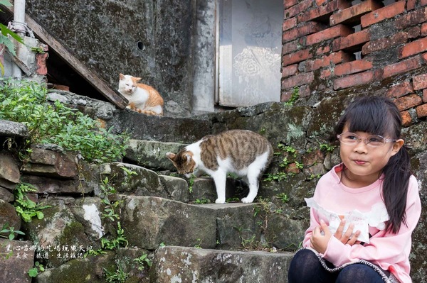 猴硐貓村：新北景點︱侯硐/猴硐貓村　美炸了的貓咪！！黑貓其實不難拍❤