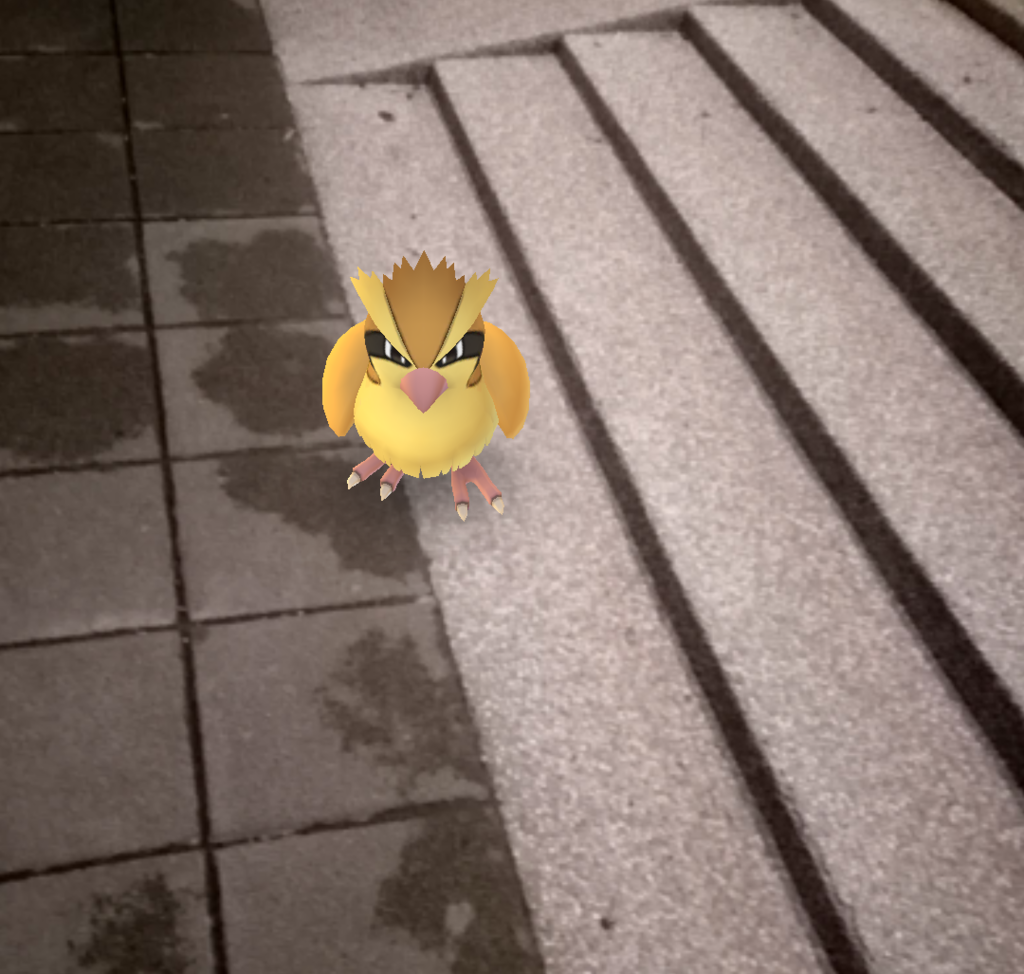 IMG_2016-08-17-21034103 IMG_2016-08-17-21034103