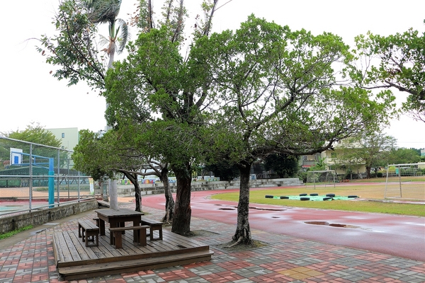 大村國小:【彰化大村景點】大村國小~教室走廊的彩色積木設計,葡萄溜滑梯及攀岩場好好玩