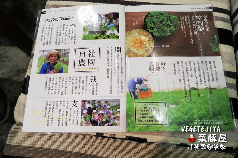 【捷運南京復興站】VEGETEJIYA菜豚屋(八德店)~中秋烤肉吃生菜包肉，健康又美味~