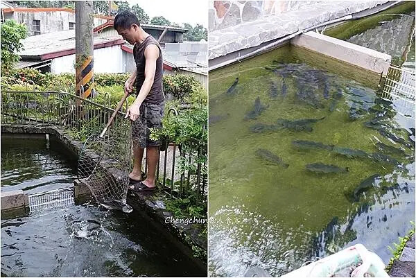 宜蘭大同鄉【山舍餐廳】鹿場路在地茶風味，合菜美味超值，現撈活