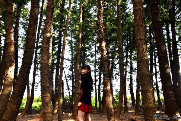 【台中。景點】大雅 / 神秘的九天黑森林,熱門婚紗外拍秘境,近都會公園