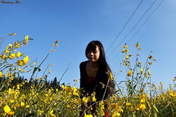 【台中。景點】大雅 / 神秘的九天黑森林,熱門婚紗外拍秘境,近都會公園