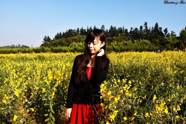 【台中。景點】大雅 / 神秘的九天黑森林,熱門婚紗外拍秘境,近都會公園