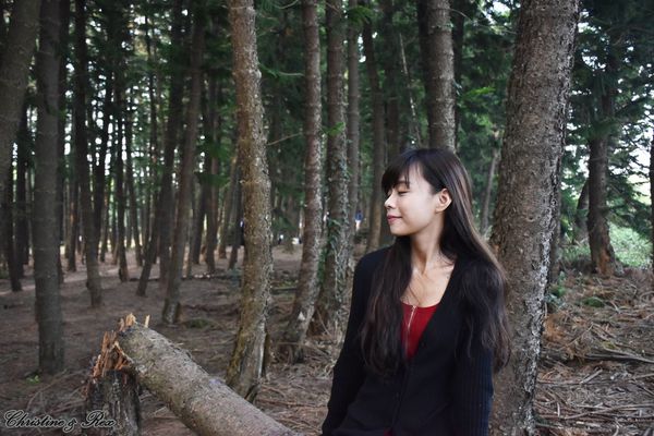 【台中。景點】大雅 / 神秘的九天黑森林,熱門婚紗外拍秘境,近都會公園