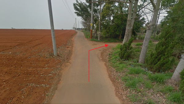 【台中。景點】大雅 / 神秘的九天黑森林,熱門婚紗外拍秘境,近都會公園