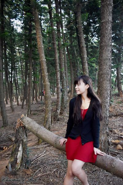 【台中。景點】大雅 / 神秘的九天黑森林,熱門婚紗外拍秘境,近都會公園