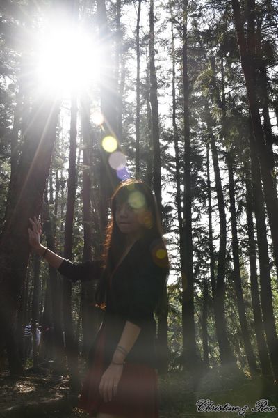 【台中。景點】大雅 / 神秘的九天黑森林,熱門婚紗外拍秘境,近都會公園