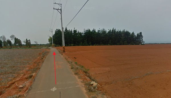 【台中。景點】大雅 / 神秘的九天黑森林,熱門婚紗外拍秘境,近都會公園