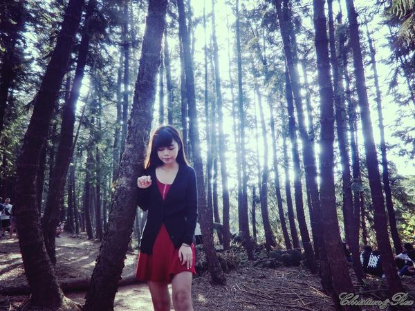 【台中。景點】大雅 / 神秘的九天黑森林,熱門婚紗外拍秘境,近都會公園