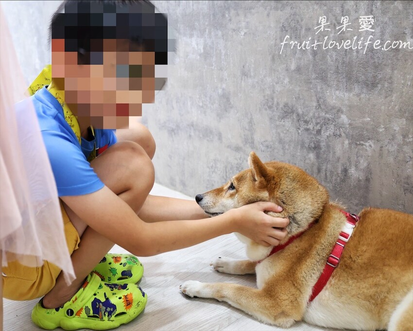 成美手工冰淇淋⟩台中東區寵物友善冰淇淋店,老店搖身成為文青風格手工冰淇淋店,有榴槤、高梁、荔枝……等特殊口味的冰淇淋可選擇 @果果愛Fruitlove