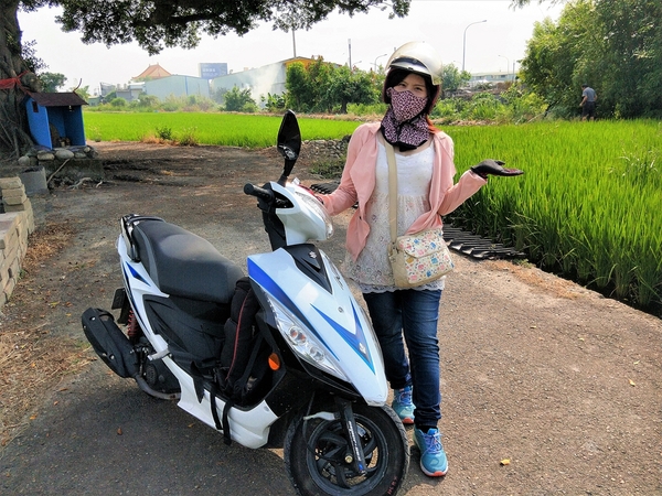 台中金城武樹:【台中市景點】台中金城武樹~IG打卡秘境景點