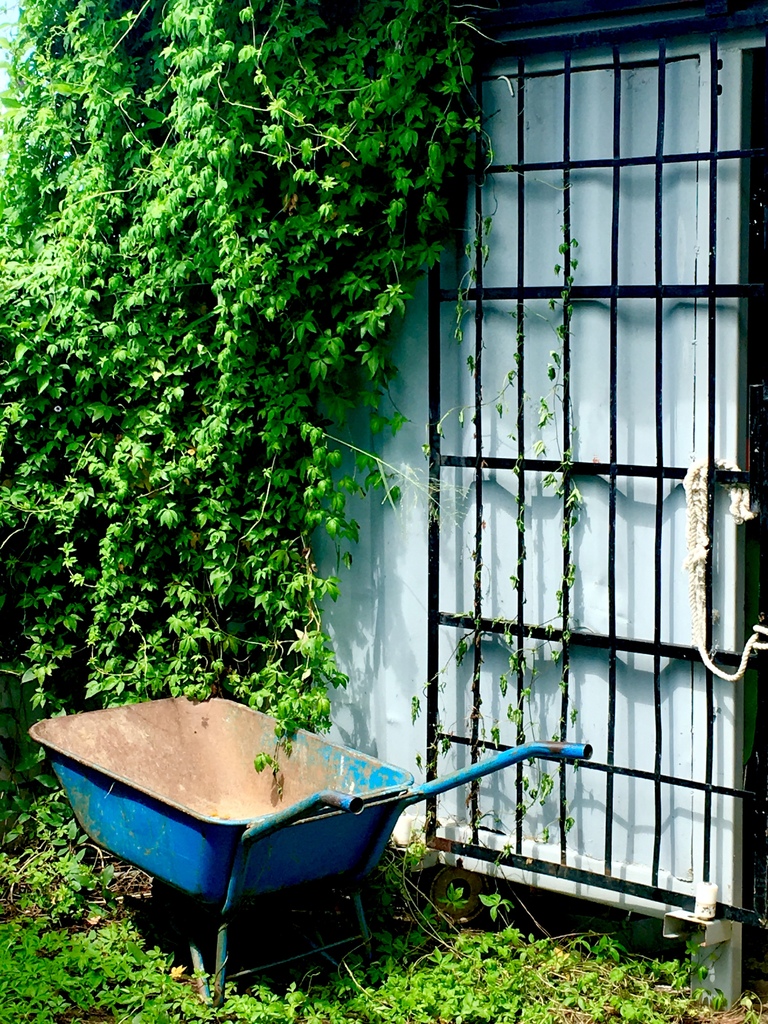 IMG_0532.JPG IMG_0532.JPG