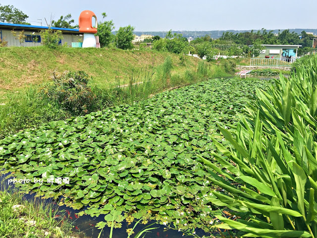 【台中 沙鹿】好好小館 ⤱ 好好聚落●最近竄紅的貨櫃屋拍照聖地，有得吃、有得拍、有得逛，安排半日遊非常合適，休假不想跑太遠的最佳選擇~