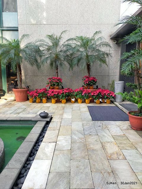 Afternoon tea at Shan-Yue Hotspring Hotel, SJKen, Jan 30,2021.