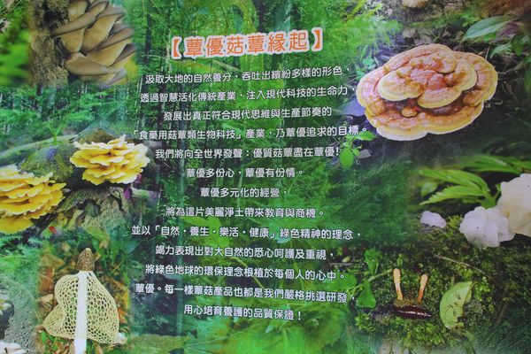 蘑菇部落生態休閒農場:【彰化景點】埔心蘑菇部落生態休閒農場~赤腳丫跑跑蘑菇大草原/蕈菇彩繪牆/童話風美味窯烤PIZZA/落羽松/園區小火車