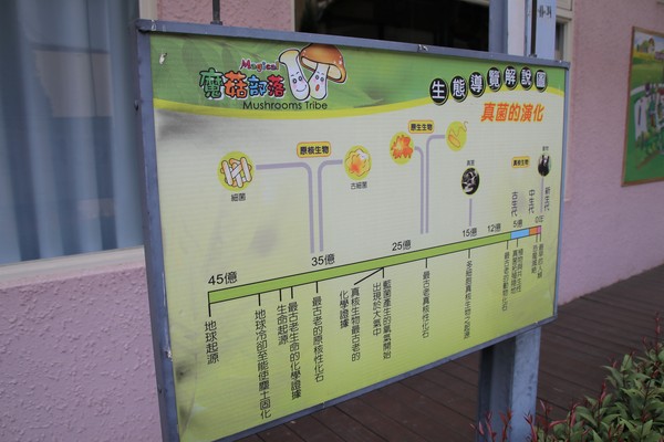 蘑菇部落生態休閒農場:【彰化景點】埔心蘑菇部落生態休閒農場~赤腳丫跑跑蘑菇大草原/蕈菇彩繪牆/童話風美味窯烤PIZZA/落羽松/園區小火車