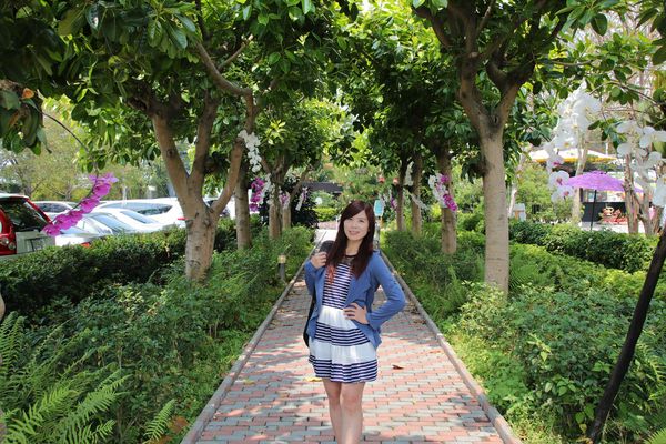 蘑菇部落生態休閒農場:【彰化景點】埔心蘑菇部落生態休閒農場~赤腳丫跑跑蘑菇大草原/蕈菇彩繪牆/童話風美味窯烤PIZZA/落羽松/園區小火車