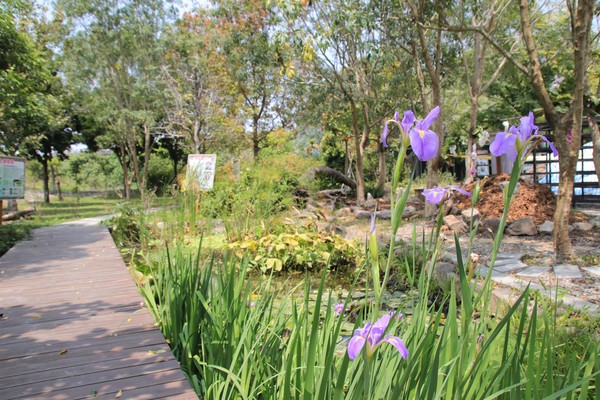 蘑菇部落生態休閒農場:【彰化景點】埔心蘑菇部落生態休閒農場~赤腳丫跑跑蘑菇大草原/蕈菇彩繪牆/童話風美味窯烤PIZZA/落羽松/園區小火車