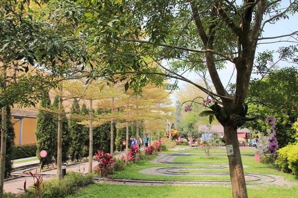 蘑菇部落生態休閒農場:【彰化景點】埔心蘑菇部落生態休閒農場~赤腳丫跑跑蘑菇大草原/蕈菇彩繪牆/童話風美味窯烤PIZZA/落羽松/園區小火車