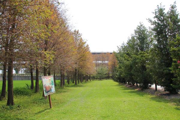 蘑菇部落生態休閒農場:【彰化景點】埔心蘑菇部落生態休閒農場~赤腳丫跑跑蘑菇大草原/蕈菇彩繪牆/童話風美味窯烤PIZZA/落羽松/園區小火車