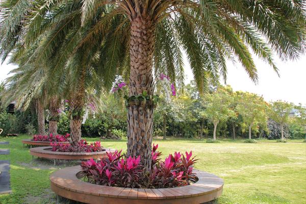 蘑菇部落生態休閒農場:【彰化景點】埔心蘑菇部落生態休閒農場~赤腳丫跑跑蘑菇大草原/蕈菇彩繪牆/童話風美味窯烤PIZZA/落羽松/園區小火車