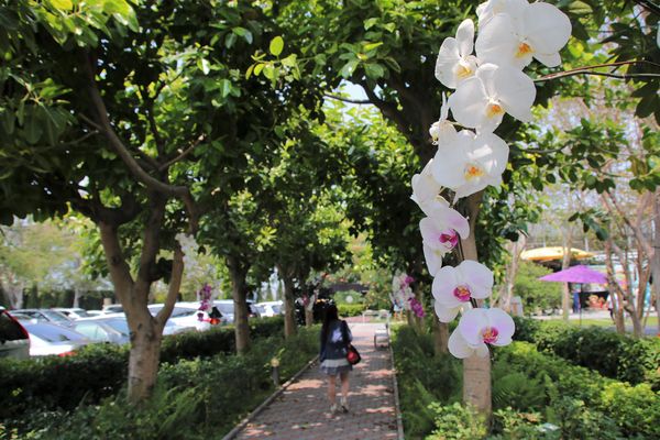 蘑菇部落生態休閒農場:【彰化景點】埔心蘑菇部落生態休閒農場~赤腳丫跑跑蘑菇大草原/蕈菇彩繪牆/童話風美味窯烤PIZZA/落羽松/園區小火車