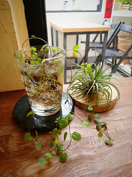 18425139_1500443166654034_1265901710414717797_n