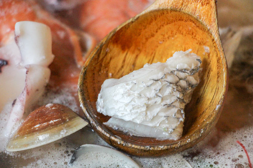 台南中西，餐點有新意，老宅風格讓你處處皆美拍的熨斗目花珈琲 cafe WUDAO。 - 微笑Joe幸運