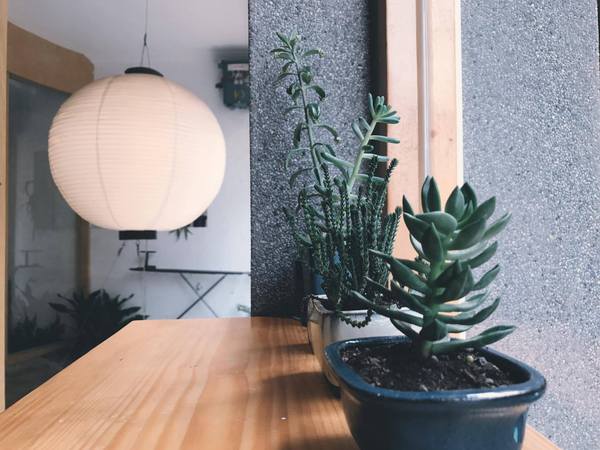 熨斗目花珈琲 cafe WUDAO：台南熨斗目花-鬧中取靜的美味飯糰早餐咖啡