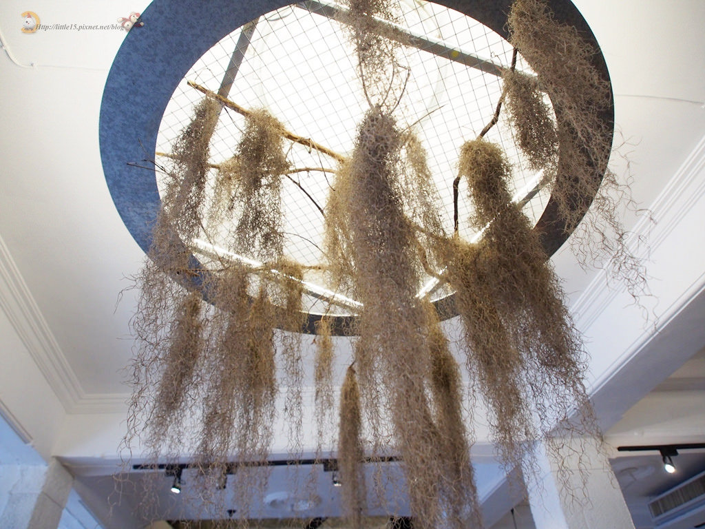 34167073124_420e33e2a5_b