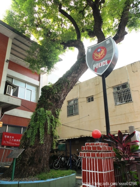 甲仙貓巷：【旅行遊記。高雄甲仙區】漫步甲仙彩繪貓巷 繽紛貓咪腳印來帶路 貓咪主題塗鴉超好拍！大啖當地名物芋冰、芋粿