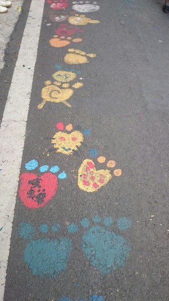 甲仙貓巷：高雄~甲仙貓巷~超好拍的口愛貓咪彩繪~繽紛雨傘高高掛~