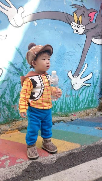 甲仙貓巷：高雄~甲仙貓巷~超好拍的口愛貓咪彩繪~繽紛雨傘高高掛~