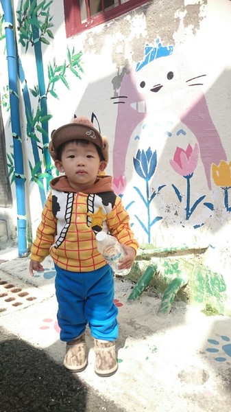 甲仙貓巷：高雄~甲仙貓巷~超好拍的口愛貓咪彩繪~繽紛雨傘高高掛~