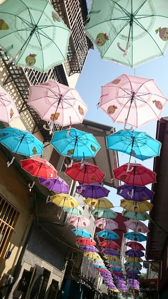 甲仙貓巷：高雄~甲仙貓巷~超好拍的口愛貓咪彩繪~繽紛雨傘高高掛~