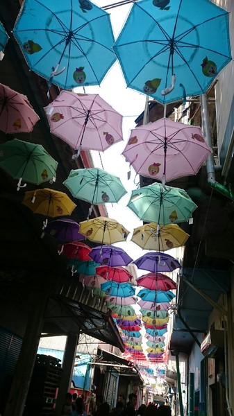甲仙貓巷：高雄~甲仙貓巷~超好拍的口愛貓咪彩繪~繽紛雨傘高高掛~