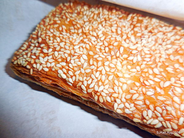 19-DSCN6000.JPG 19-DSCN6000.JPG