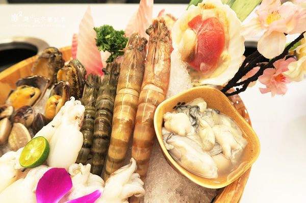 IMG_1956.JPG IMG_1956.JPG