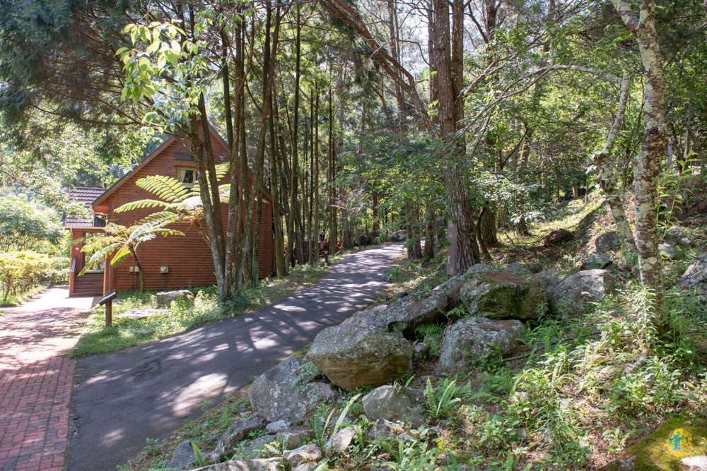 谷關民宿推薦》台中商旅台中八仙山莊 - 螢河與銀河圍繞的渡假小木屋 - 時空幻境 凌雲江海清