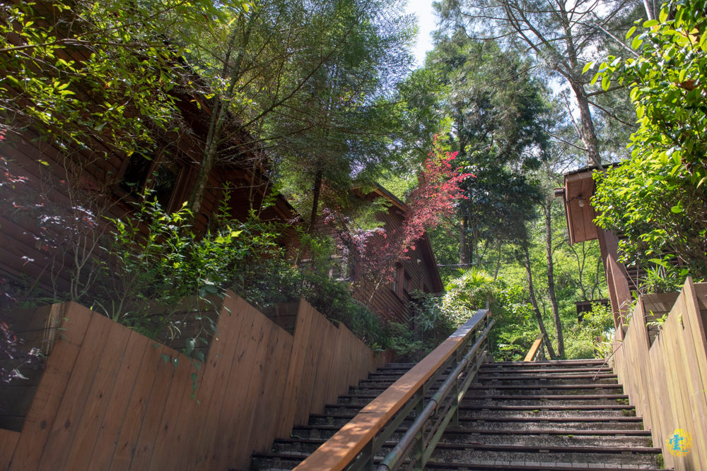 谷關民宿推薦》台中商旅台中八仙山莊 - 螢河與銀河圍繞的渡假小木屋 - 時空幻境 凌雲江海清