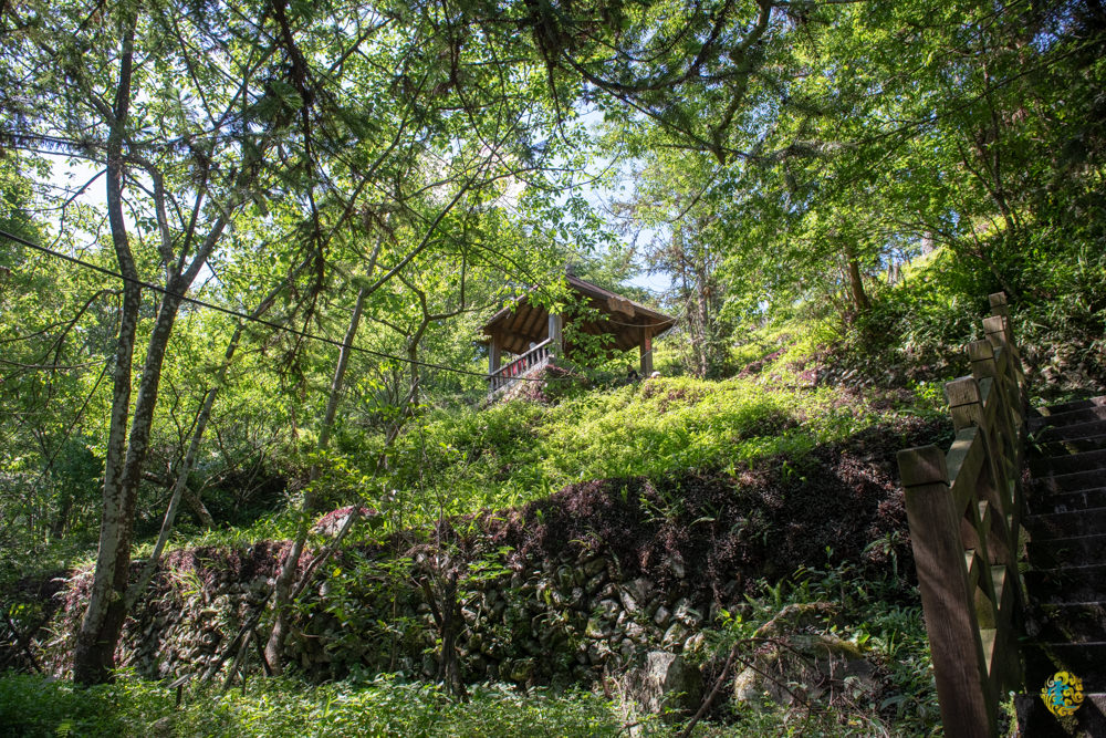 谷關民宿推薦》台中商旅台中八仙山莊 - 螢河與銀河圍繞的渡假小木屋 - 時空幻境 凌雲江海清