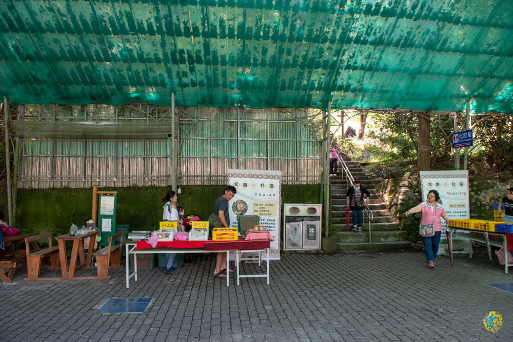 谷關民宿推薦》台中商旅台中八仙山莊 - 螢河與銀河圍繞的渡假小木屋 - 時空幻境 凌雲江海清