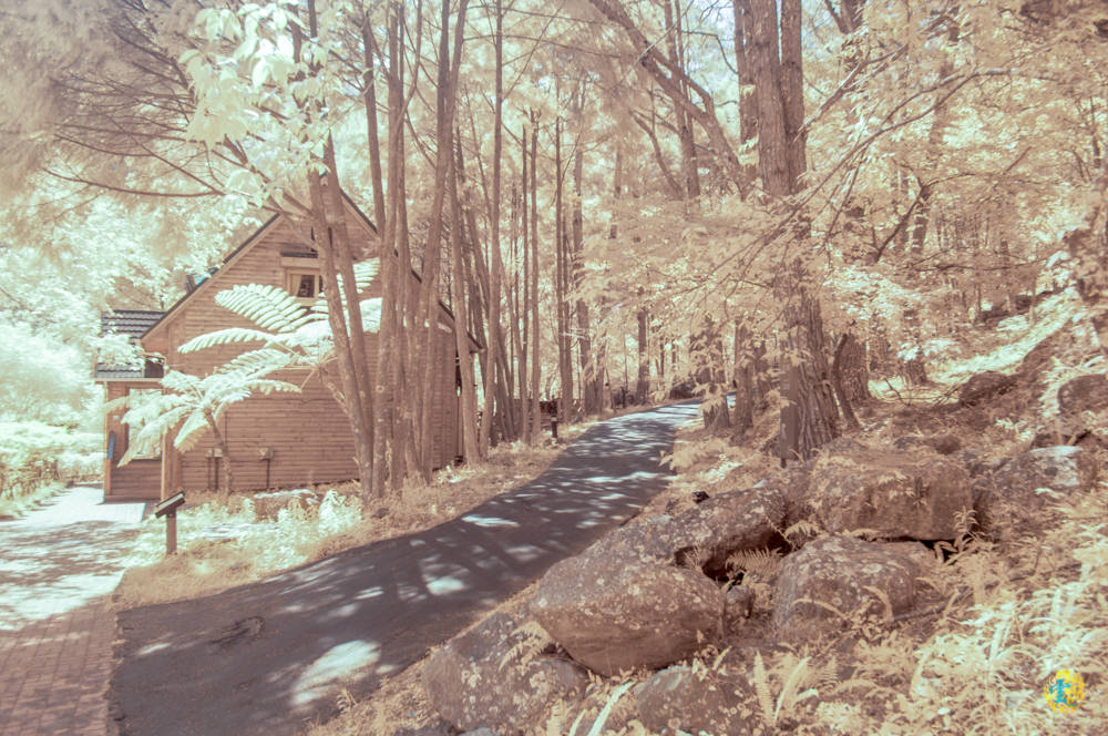 谷關民宿推薦》台中商旅台中八仙山莊 - 螢河與銀河圍繞的渡假小木屋 - 時空幻境 凌雲江海清